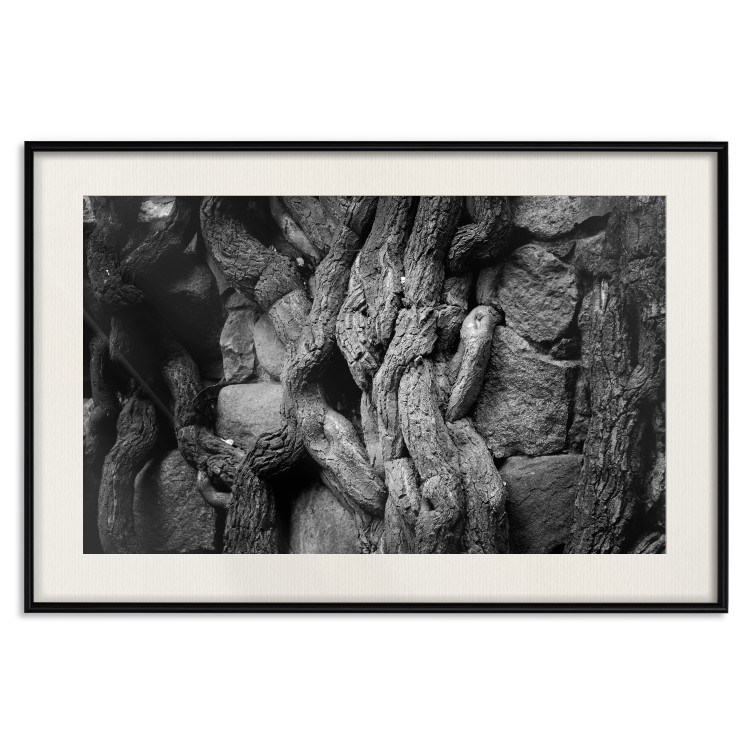 Wall Poster Overgrown Stones - black and white texture with wood and stones motif 123130 additionalImage 25