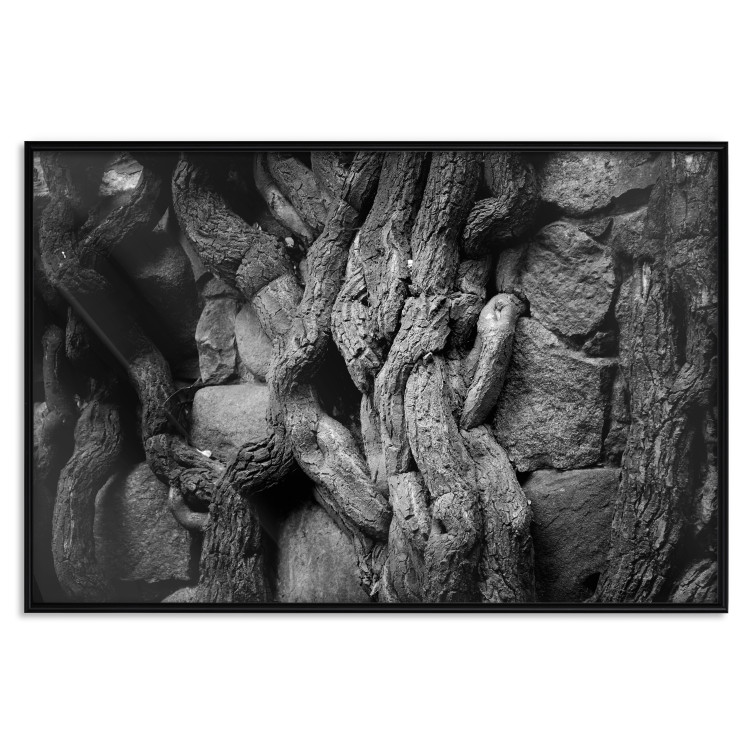 Wall Poster Overgrown Stones - black and white texture with wood and stones motif 123130 additionalImage 16