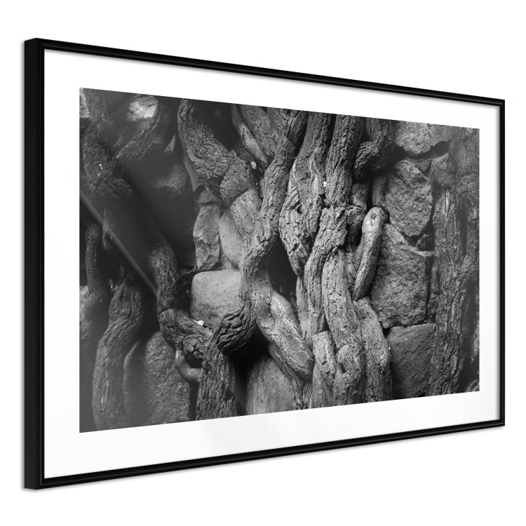 Wall Poster Overgrown Stones - black and white texture with wood and stones motif 123130 additionalImage 13