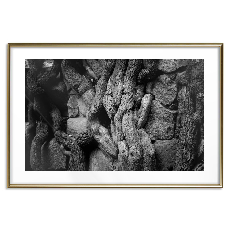 Wall Poster Overgrown Stones - black and white texture with wood and stones motif 123130 additionalImage 27