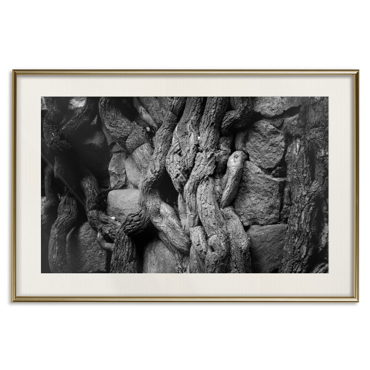 Wall Poster Overgrown Stones - black and white texture with wood and stones motif 123130 additionalImage 24