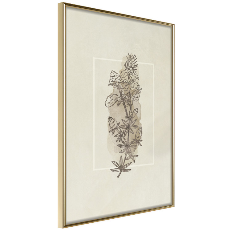 Poster Field Sketch - plant with flowers on a light beige background in a retro motif 125730 additionalImage 12