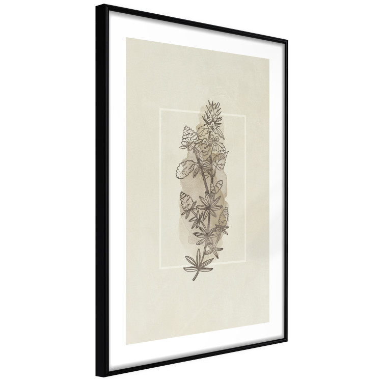 Poster Field Sketch - plant with flowers on a light beige background in a retro motif 125730 additionalImage 11