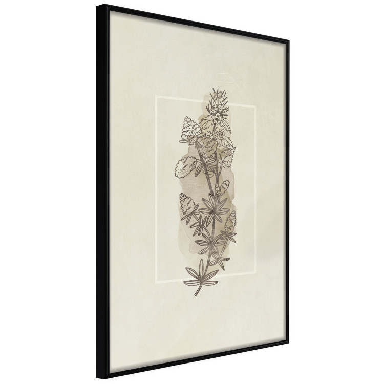 Poster Field Sketch - plant with flowers on a light beige background in a retro motif 125730 additionalImage 10
