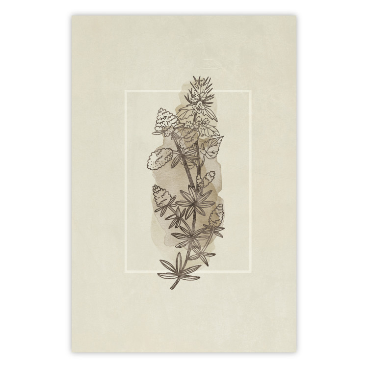 Poster Field Sketch - plant with flowers on a light beige background in a retro motif 125730