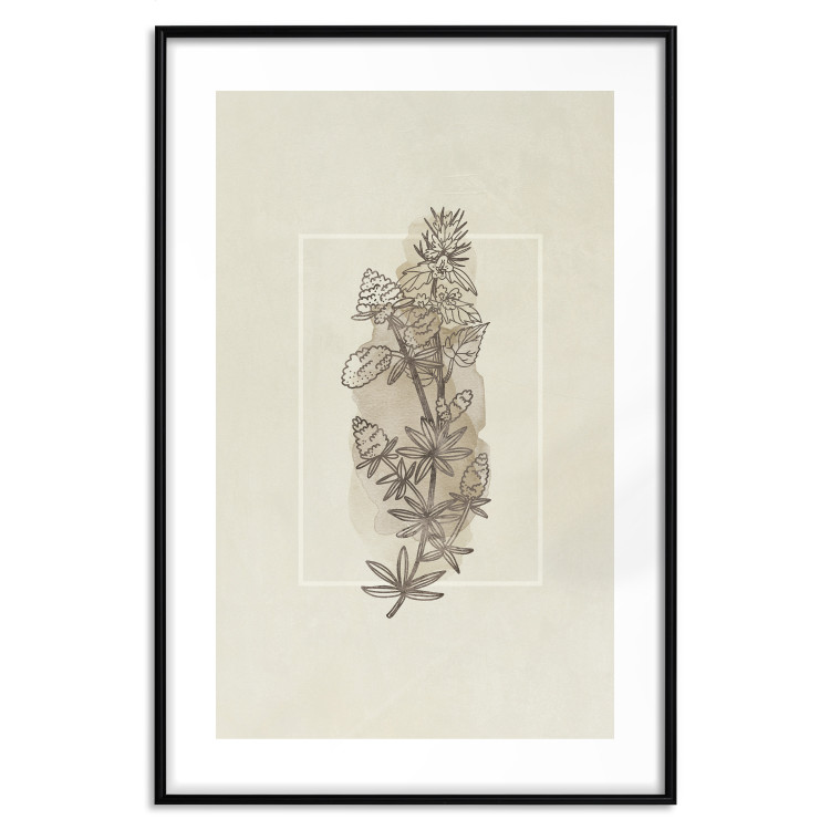 Poster Field Sketch - plant with flowers on a light beige background in a retro motif 125730 additionalImage 15