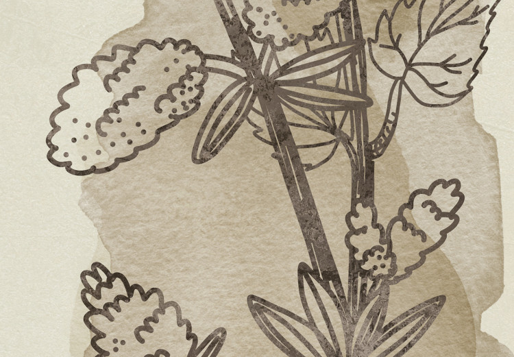 Poster Field Sketch - plant with flowers on a light beige background in a retro motif 125730 additionalImage 9