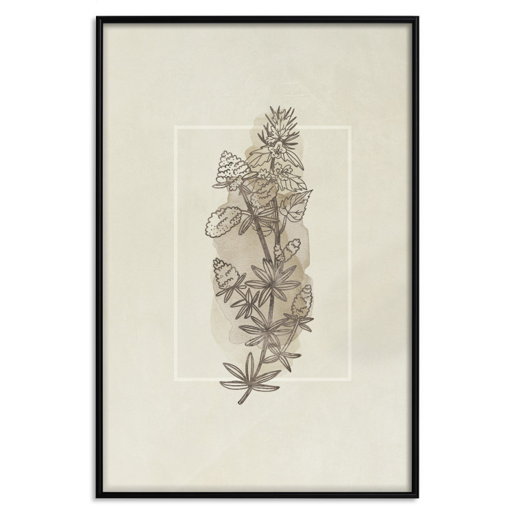 Poster Field Sketch - plant with flowers on a light beige background in a retro motif 125730 additionalImage 18
