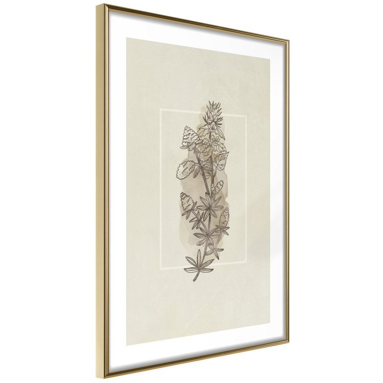 Poster Field Sketch - plant with flowers on a light beige background in a retro motif 125730 additionalImage 6