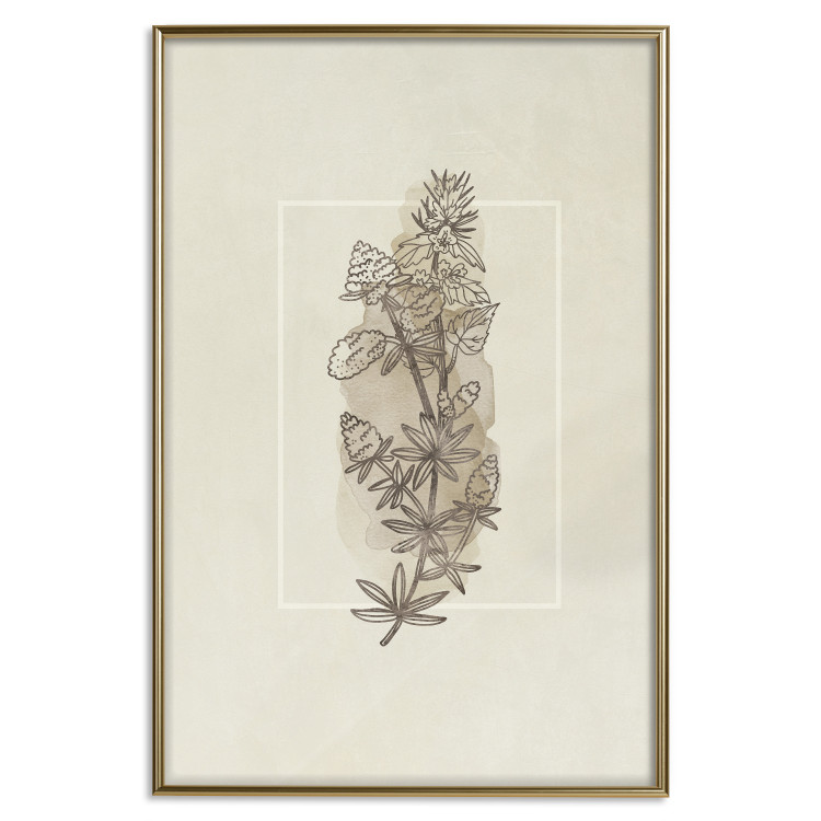 Poster Field Sketch - plant with flowers on a light beige background in a retro motif 125730 additionalImage 16