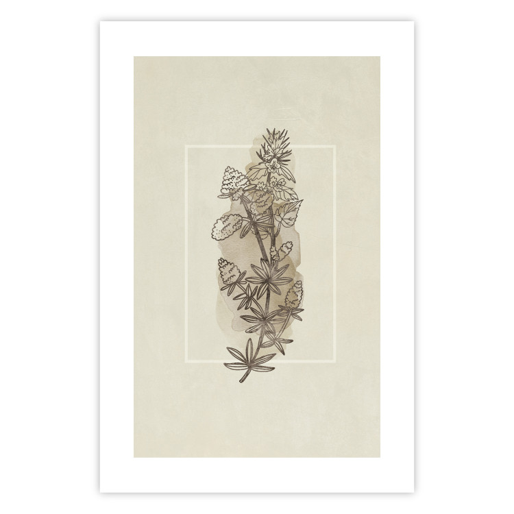 Poster Field Sketch - plant with flowers on a light beige background in a retro motif 125730 additionalImage 19