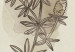 Poster Field Sketch - plant with flowers on a light beige background in a retro motif 125730 additionalThumb 8