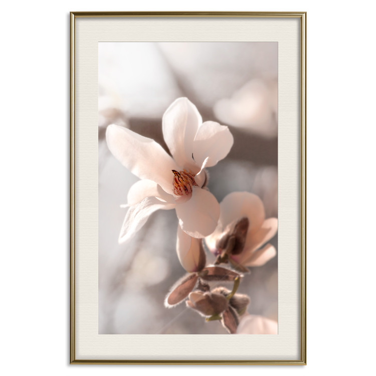 Wall Poster Spring Light - light pink flower on spring composition background 127830 additionalImage 20