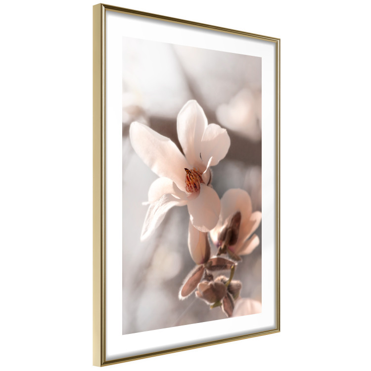 Wall Poster Spring Light - light pink flower on spring composition background 127830 additionalImage 9