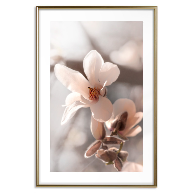 Wall Poster Spring Light - light pink flower on spring composition background 127830 additionalImage 15