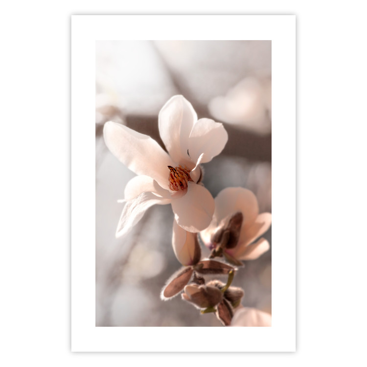 Wall Poster Spring Light - light pink flower on spring composition background 127830 additionalImage 21