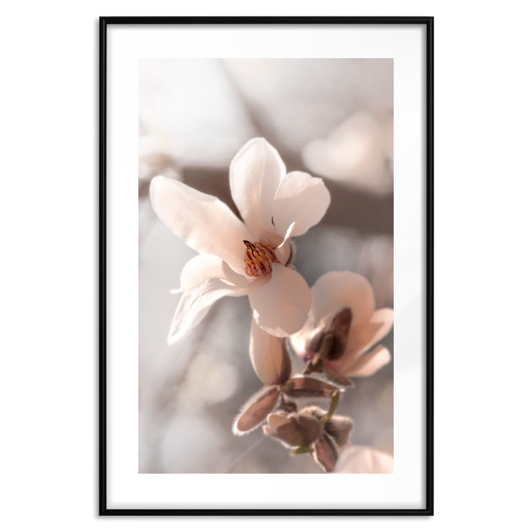 Wall Poster Spring Light - light pink flower on spring composition background 127830 additionalImage 16