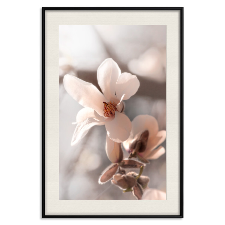 Wall Poster Spring Light - light pink flower on spring composition background 127830 additionalImage 19