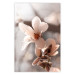 Wall Poster Spring Light - light pink flower on spring composition background 127830