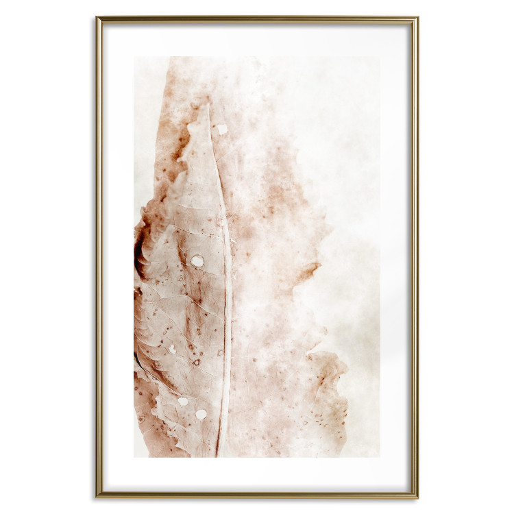 Poster Mature Leaf - abstract texture of a brown leaf on a white background 131830 additionalImage 16