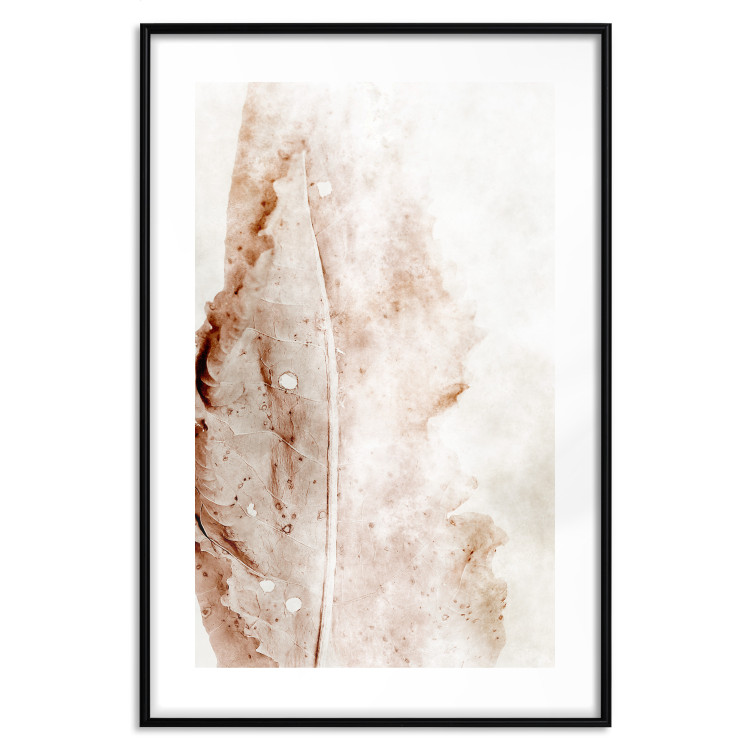 Poster Mature Leaf - abstract texture of a brown leaf on a white background 131830 additionalImage 17