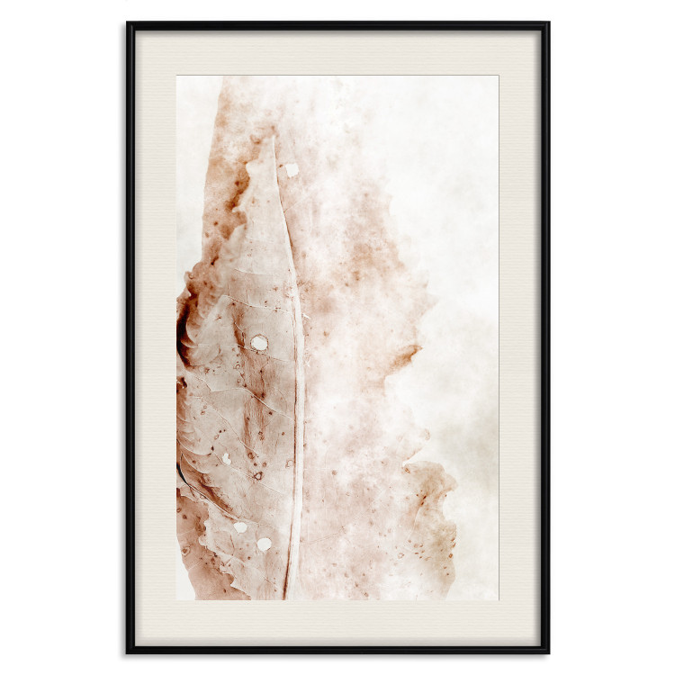 Poster Mature Leaf - abstract texture of a brown leaf on a white background 131830 additionalImage 19
