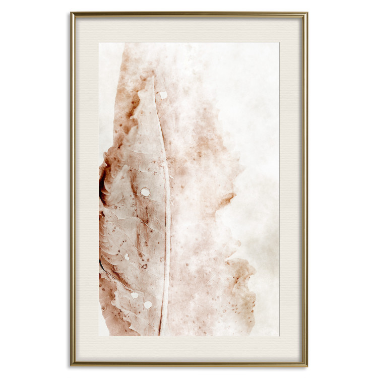 Poster Mature Leaf - abstract texture of a brown leaf on a white background 131830 additionalImage 20