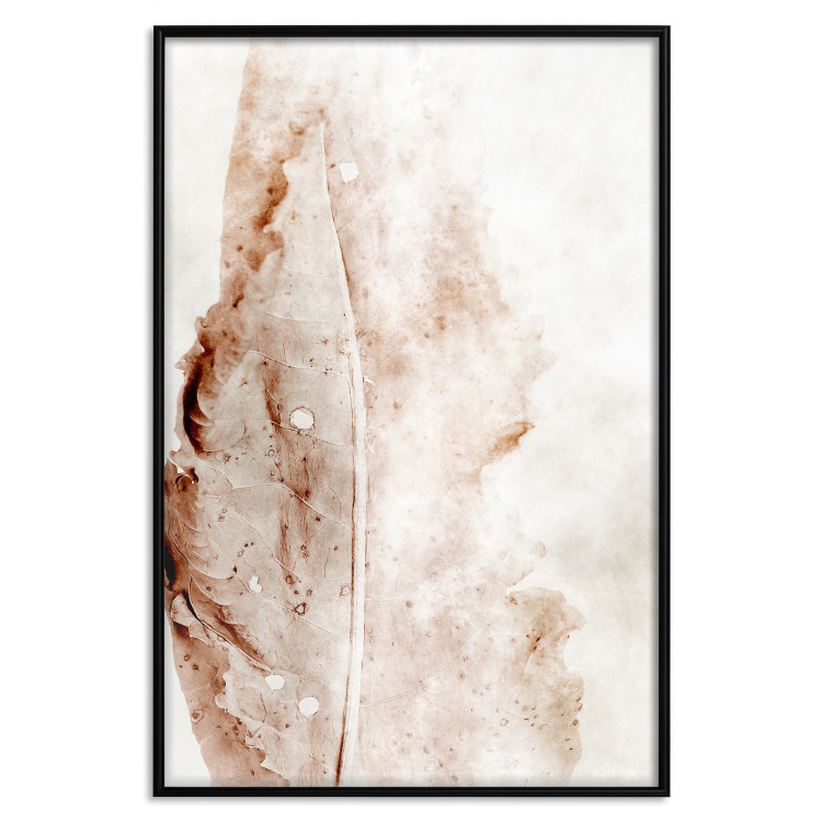 Poster Mature Leaf - abstract texture of a brown leaf on a white background 131830 additionalImage 18