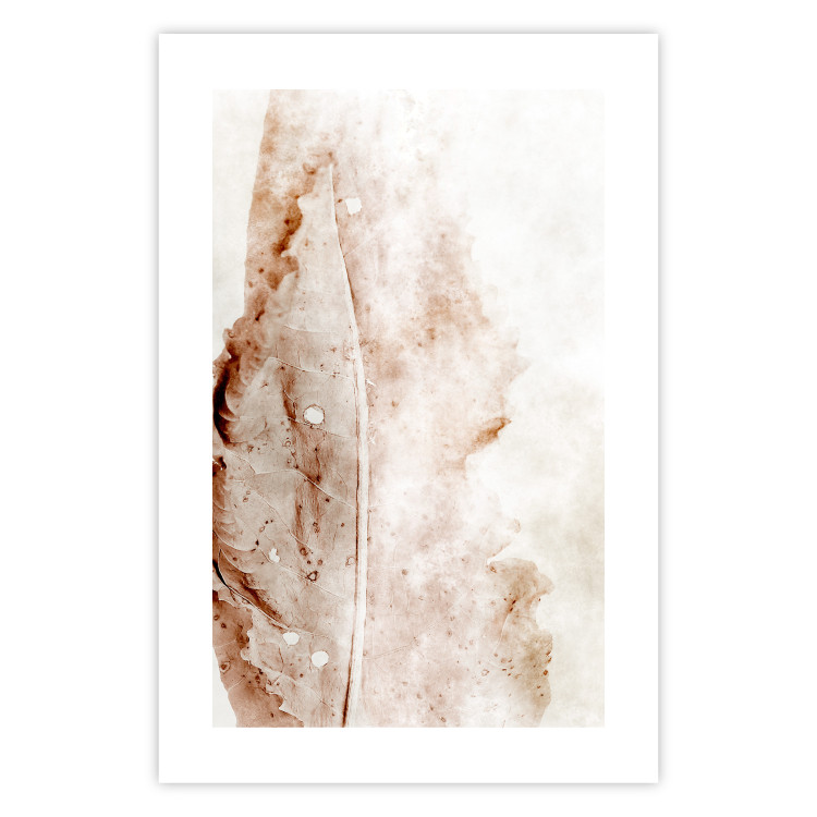 Poster Mature Leaf - abstract texture of a brown leaf on a white background 131830 additionalImage 25