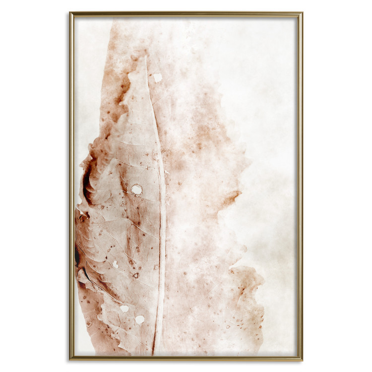 Poster Mature Leaf - abstract texture of a brown leaf on a white background 131830 additionalImage 21