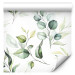 Modern Wallpaper Awakening Freshness 134430 additionalThumb 1