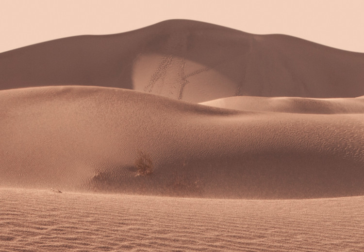 Canvas Art Print Desert Vegetation (1-piece) Vertical - Arab desert in Morocco 134730 additionalImage 5