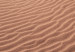 Canvas Art Print Desert Vegetation (1-piece) Vertical - Arab desert in Morocco 134730 additionalThumb 4
