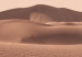 Canvas Art Print Desert Vegetation (1-piece) Vertical - Arab desert in Morocco 134730 additionalThumb 5