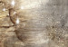 Large canvas print Dandelion on Concrete II [Large Format] 137630 additionalThumb 5