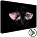Canvas Print Night Moth (1-piece) Wide - second variant - pink wings 142530 additionalThumb 6