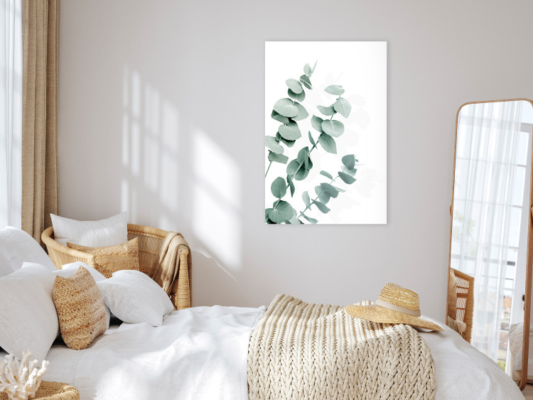 Canvas Print Eucalyptus Leaves - Sprigs of a Green Plant on a White Background 146130 additionalImage 3