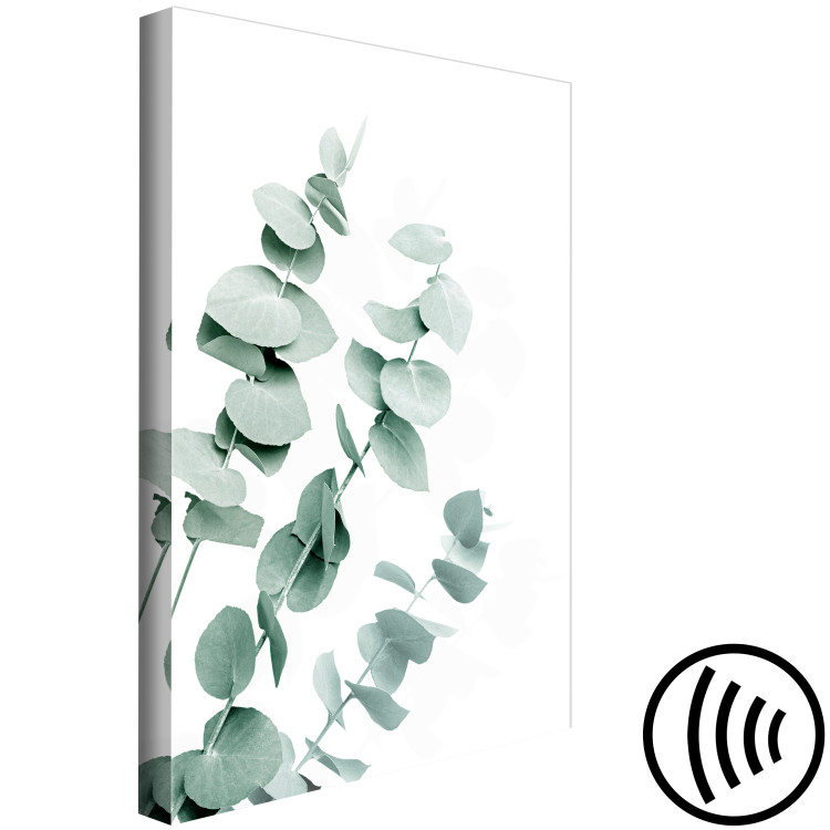 Canvas Print Eucalyptus Leaves - Sprigs of a Green Plant on a White Background 146130 additionalImage 6