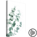 Canvas Print Eucalyptus Leaves - Sprigs of a Green Plant on a White Background 146130 additionalThumb 6