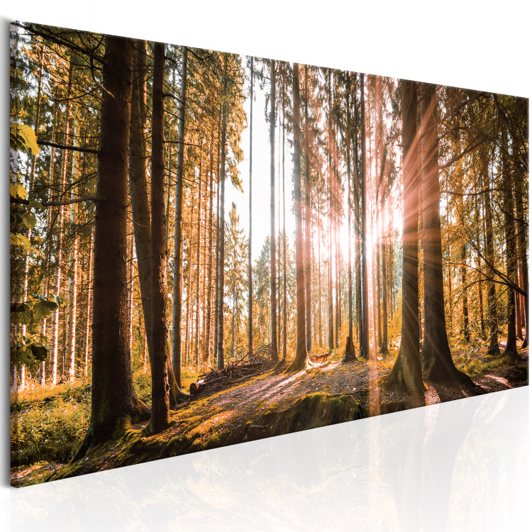 Large canvas print Small Natural Wonders III [Large Format] 149030 additionalImage 3