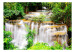 Photo Wallpaper Beauty of Nature - Landscape of Waterfalls on a River amidst Forest Trees 60030 additionalThumb 1