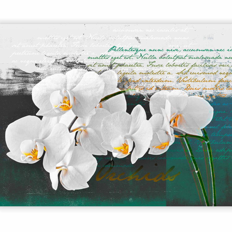 Photo Wallpaper Orchid - Poet's Inspiration is a White Floral Motif with Inscriptions in the Background 60630 additionalImage 1