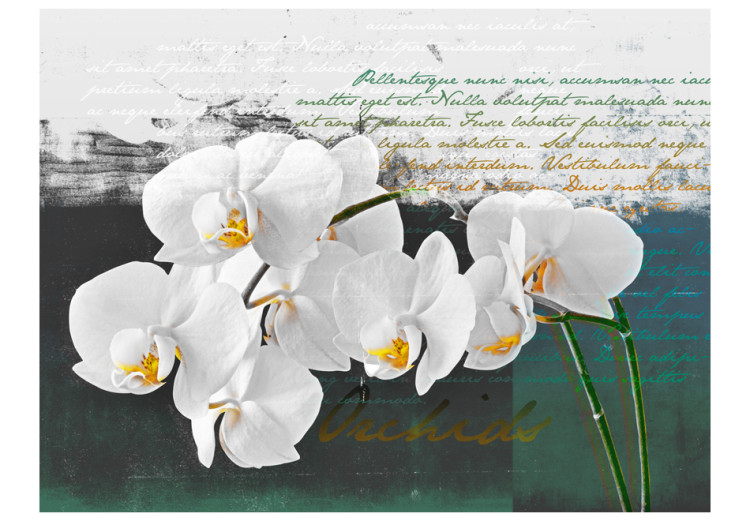 Photo Wallpaper Orchid - Poet's Inspiration is a White Floral Motif with Inscriptions in the Background 60630 additionalImage 1