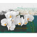 Photo Wallpaper Orchid - Poet's Inspiration is a White Floral Motif with Inscriptions in the Background 60630 additionalThumb 1