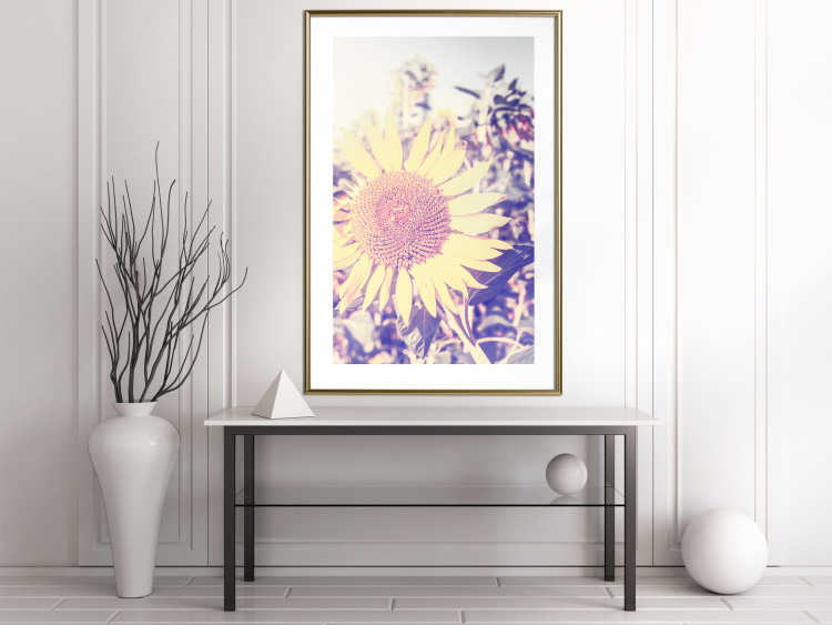 Wall Poster Sunflower - summer composition with yellow flowers in a sunlit meadow 116440 additionalImage 13