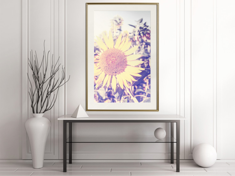 Wall Poster Sunflower - summer composition with yellow flowers in a sunlit meadow 116440 additionalImage 21