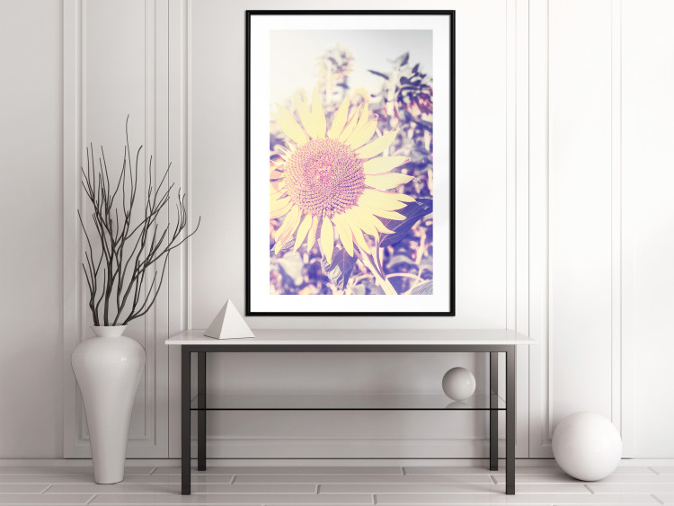 Wall Poster Sunflower - summer composition with yellow flowers in a sunlit meadow 116440 additionalImage 7