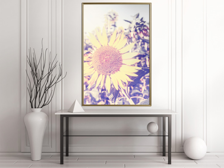 Wall Poster Sunflower - summer composition with yellow flowers in a sunlit meadow 116440 additionalImage 8