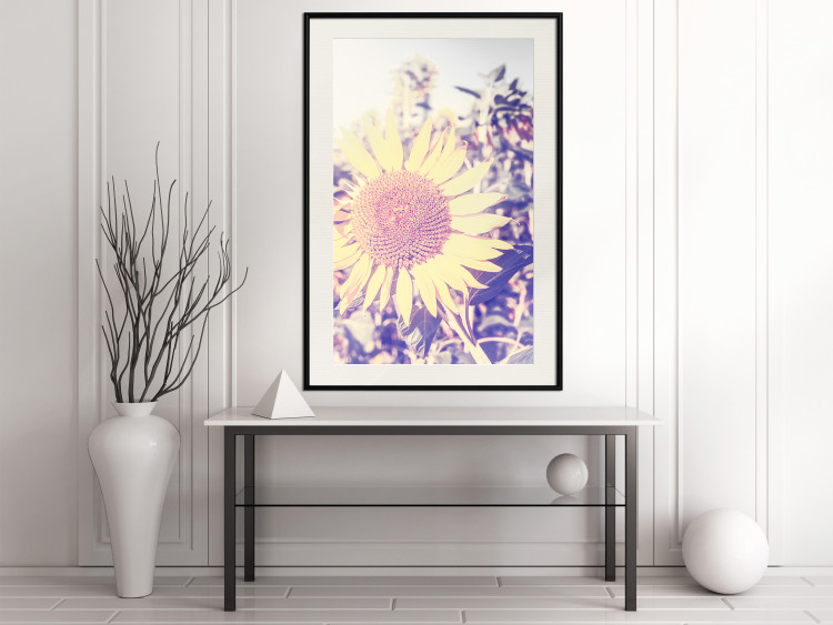 Wall Poster Sunflower - summer composition with yellow flowers in a sunlit meadow 116440 additionalImage 22