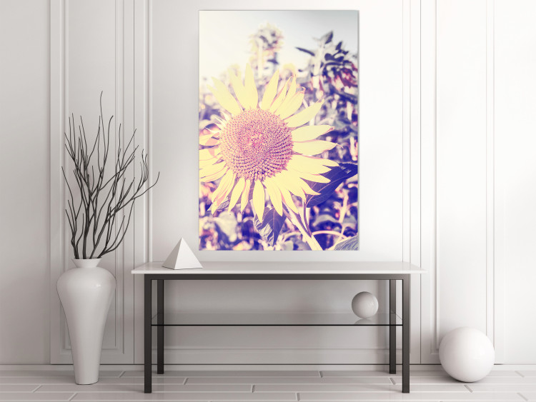Wall Poster Sunflower - summer composition with yellow flowers in a sunlit meadow 116440 additionalImage 23